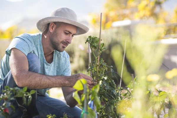 Les tendances en matière de stockage de données pour l'année à venir.